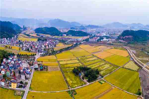 农村宅基地闲置的原因(宅基地闲置问题)